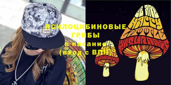spice Лагань