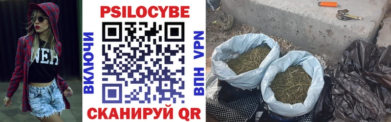 Псилоцибиновые грибы мицелий  Петрозаводск 