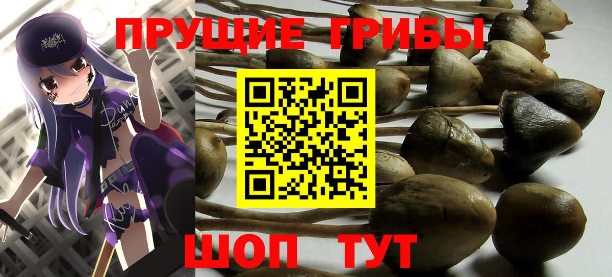 Петрозаводск  Вейп ТГК  ГАШИШ  МЕТ  Кокаин  МЕФ   Вход с VPN  ГАШ  Конопля 
