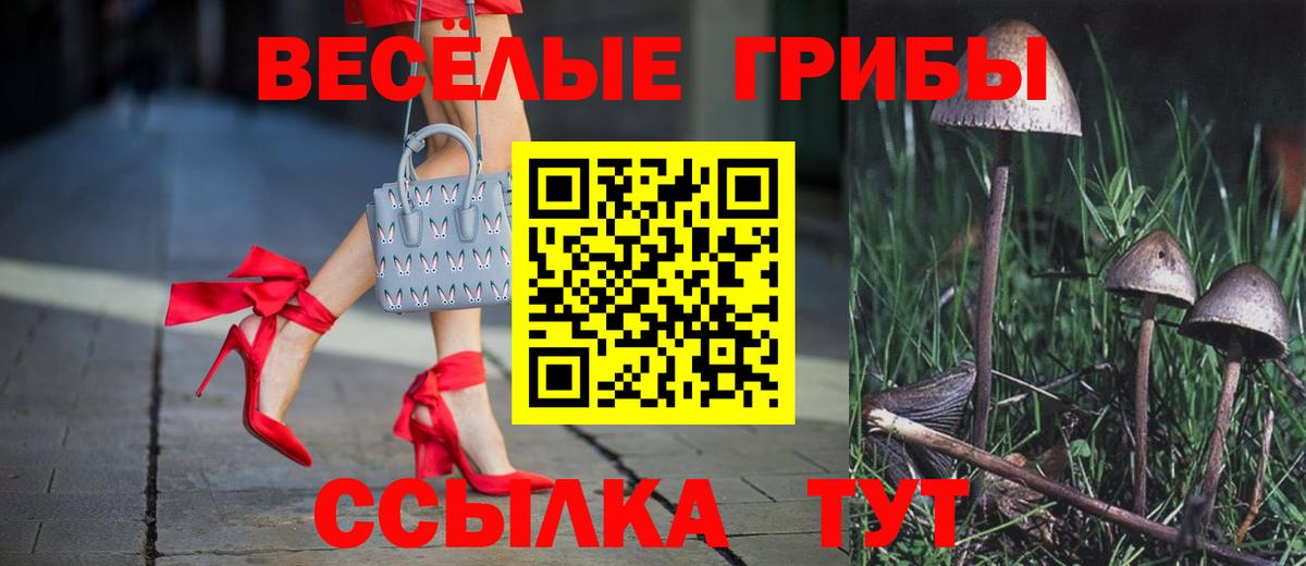 Псилоцибиновые грибы GOLDEN TEACHER  Вход с VPN  Галлюциногенные грибы Psilocybine cubensis  Петрозаводск 
