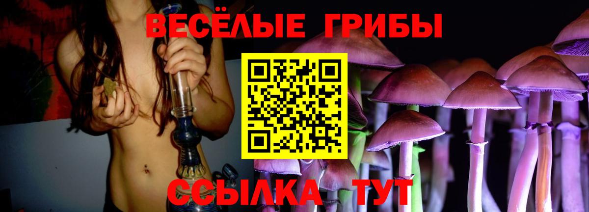 Галлюциногенные грибы Cubensis Петрозаводск